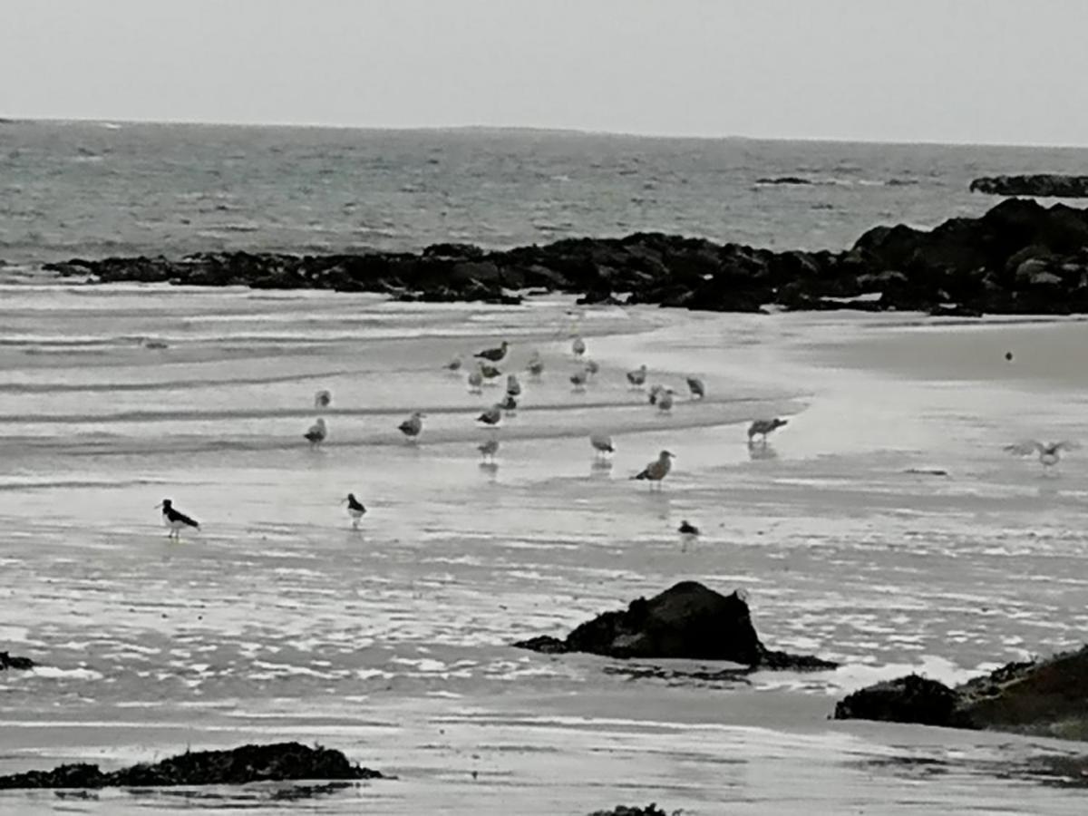 The Fisherman'S Snug Self Catering North Uist Paible Extérieur photo