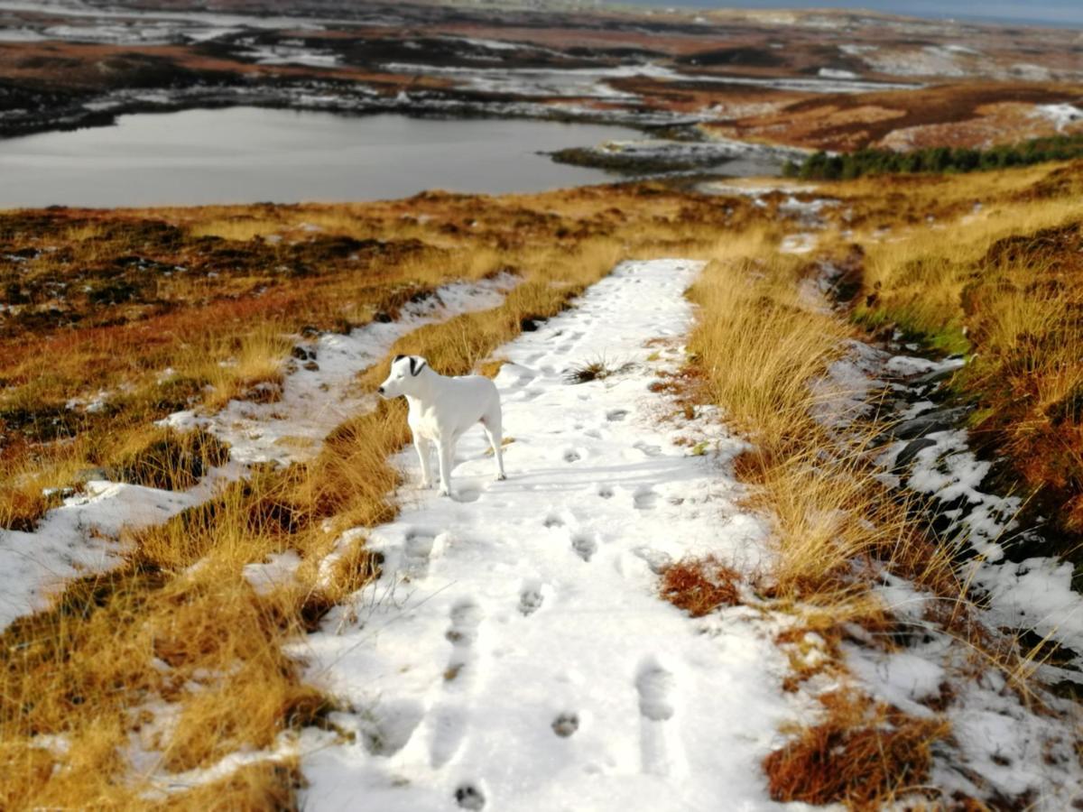 The Fisherman'S Snug Self Catering North Uist Paible Extérieur photo