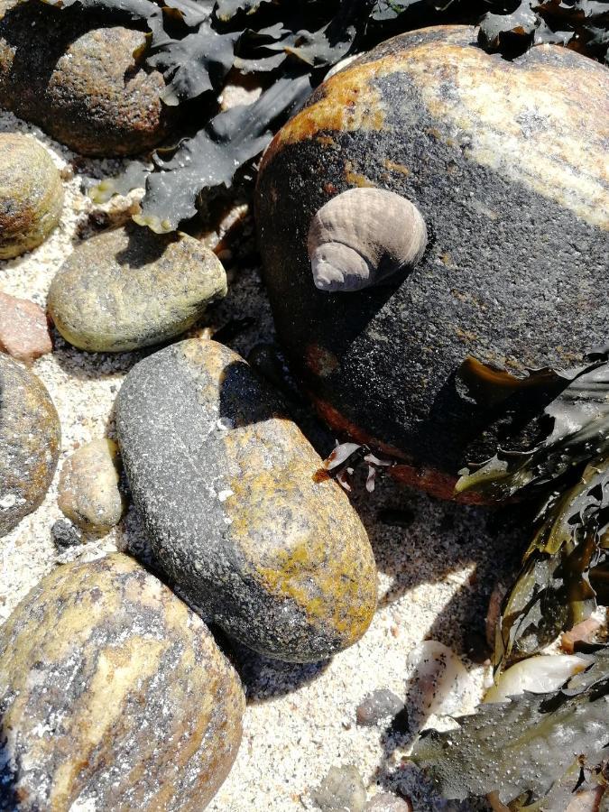 The Fisherman'S Snug Self Catering North Uist Paible Extérieur photo