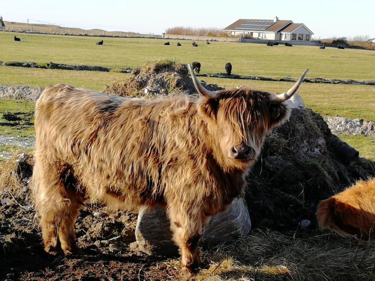 The Fisherman'S Snug Self Catering North Uist Paible Extérieur photo
